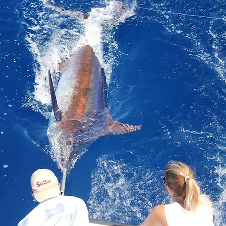 Abrigo Da Madeira Villa Arco da Calheta (Madeira)