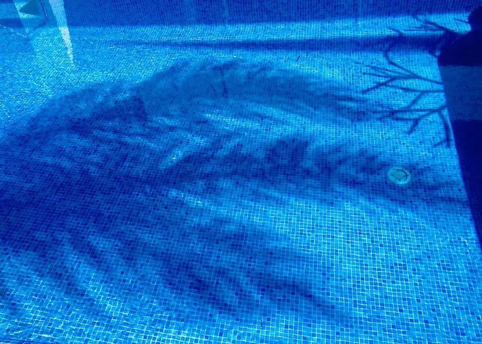 Villa Abrigo Da Madeira *