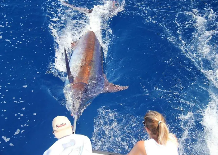 Abrigo Da Madeira Villa Arco da Calheta (Madeira)